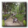 Park in Taiwan - ESL in Taiwan