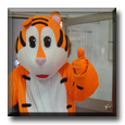 ESL Teacher Drew dressed up as a tiger