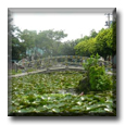 Taiwanese gardens - Teaching English in Taiwan