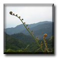 Exploring Taiwan - Teaching English in Taiwan