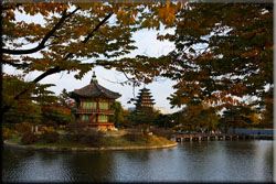 Teaching English for the SMOE Program in Seoul