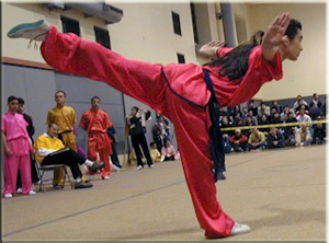 Wushu - Teaching English in Asia