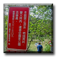 Yangmingshan National Park, Taiwan - ESL in Taiwan