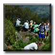 The Top of Yangmingshan National Park, Taiwan