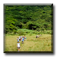 ESL Teachers hiking in Yangmingshan National Park, Taiwan