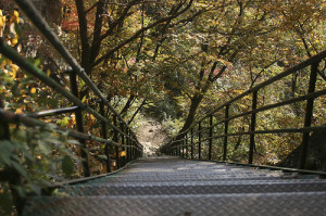 Songnisan National Park