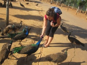 Sarah Nighbor in Peacock Fields