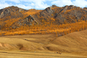 Mongolian landscape