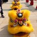 Lion Dancer