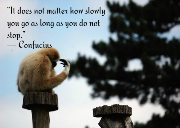 It does not matter how slowly you go as long as you do not stop. ~ Confucius